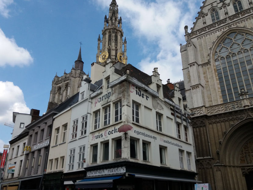 Picture 484 - Antwerpen-Belgia