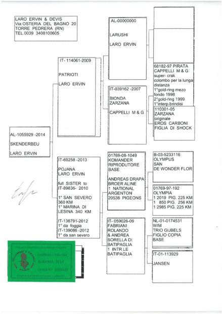 SKM_C224e18041812321_0001 - Pedigree masculi matca