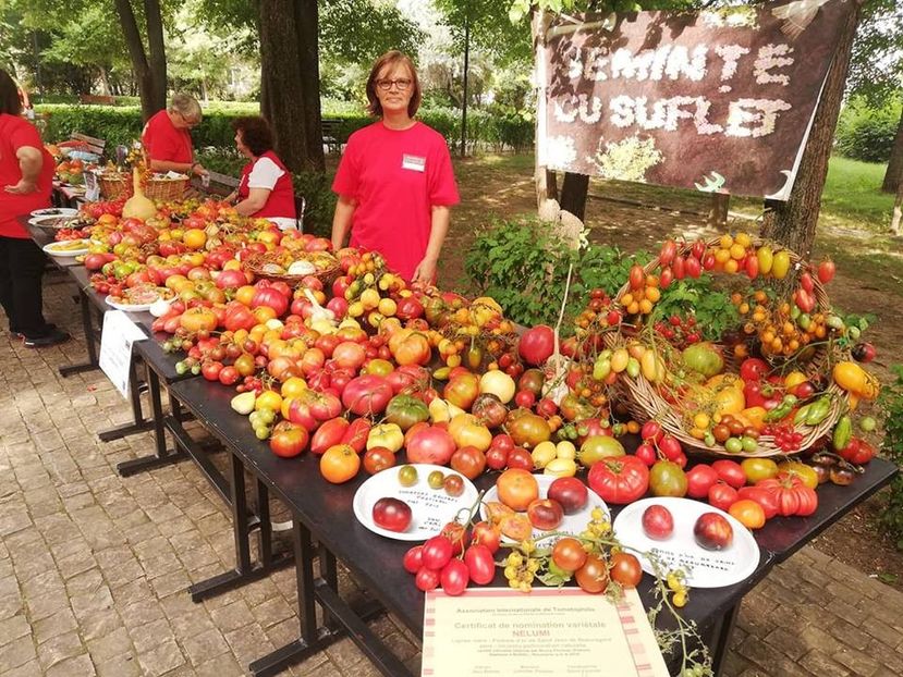  - A - A Festivalul tomatelor si biodiversitatii Buzau - 2018