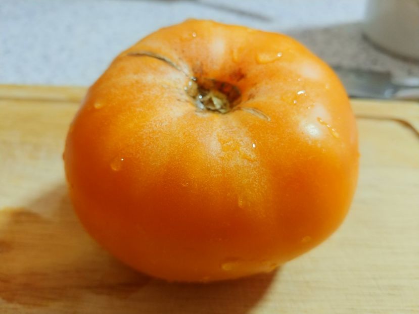 AMANA ORANGE 2018 (15) - AMANA ORANGE 2018