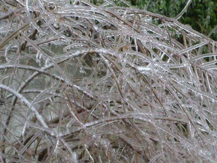 Freezing rain - v Iarna 2019-2020