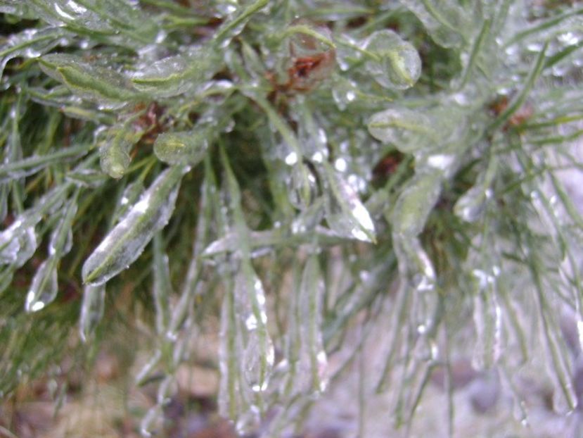 Freezing rain - v Iarna 2019-2020