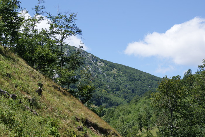 211 - Poze din diferite locuri din Romania