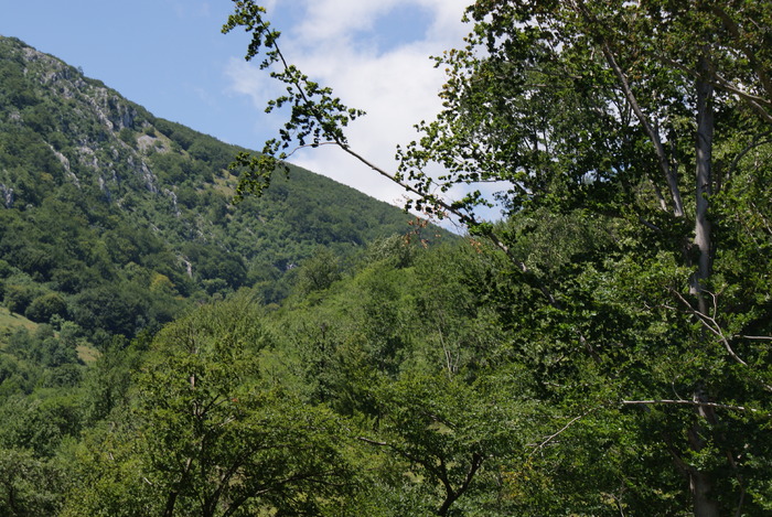 215 - Poze din diferite locuri din Romania