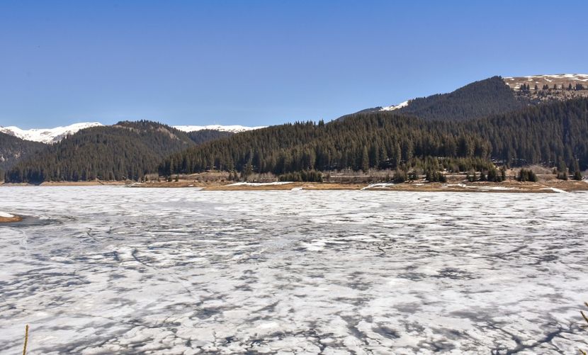  - 08 - Sinaia - Dichiu - Bolboci - Cheile Tătarului - aprilie 2019