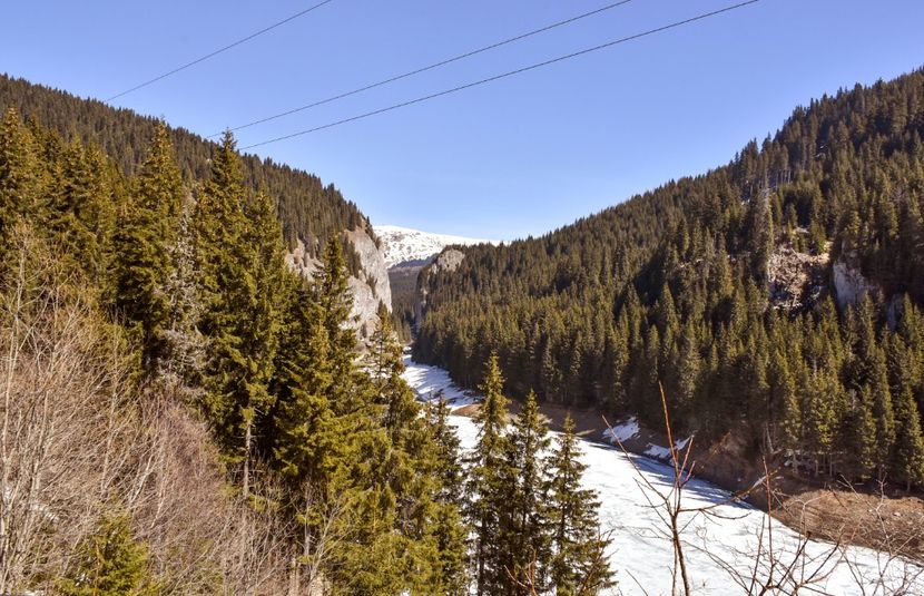  - 08 - Sinaia - Dichiu - Bolboci - Cheile Tătarului - aprilie 2019