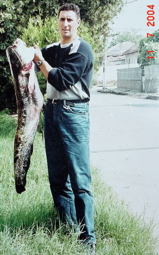 DSC08743; somn de 16 kg prins la pestisor in 2002 in canalul de la Medgidia

