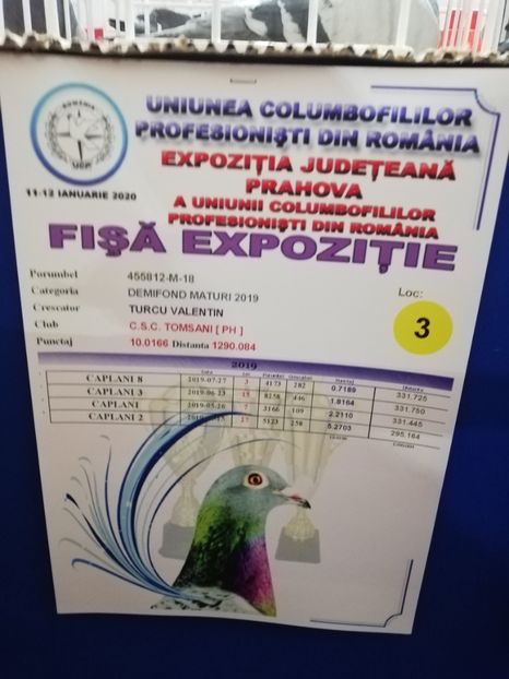  - 2020 EXPOZITIA JUDETEANA Prahova UCPR