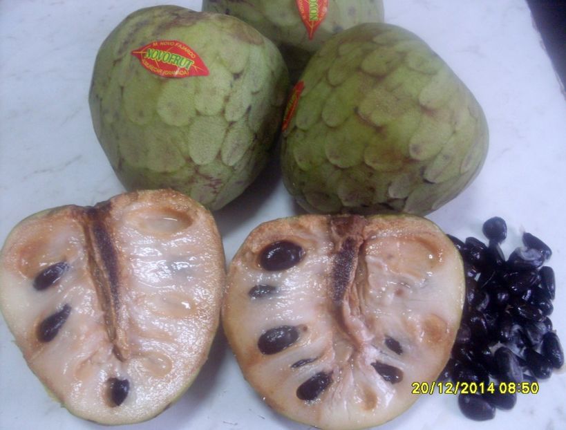  - Cherimoya