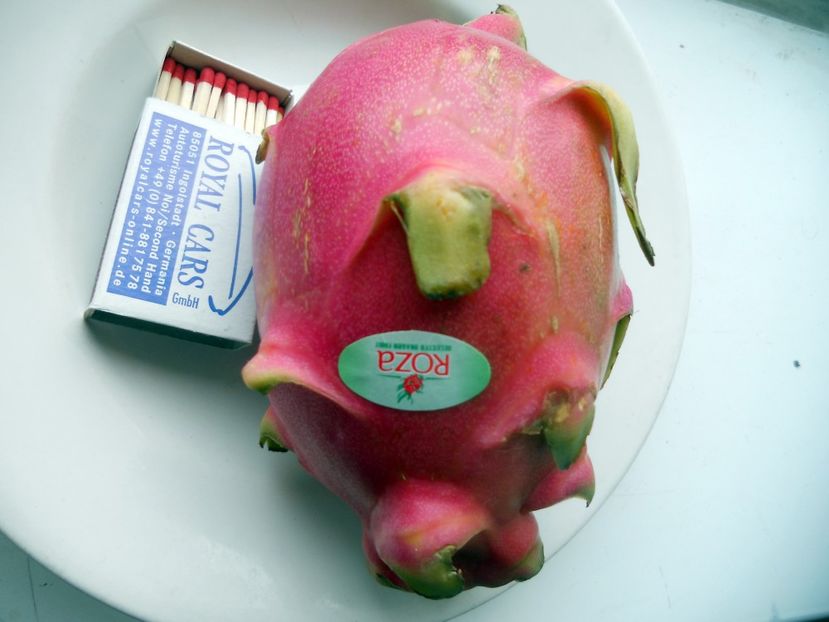  - Dragon fruit