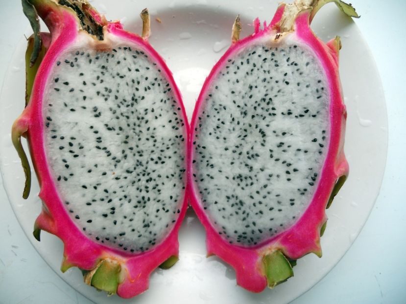  - Dragon fruit