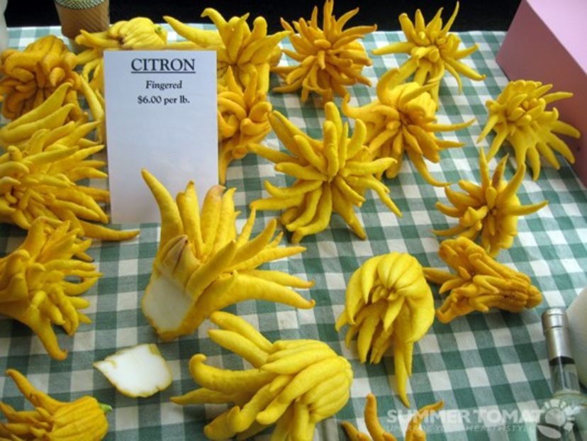 Citron - Buddha Hands