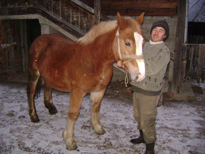 Manz de Maramures