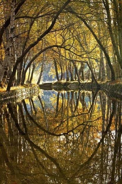  - natura din Romania