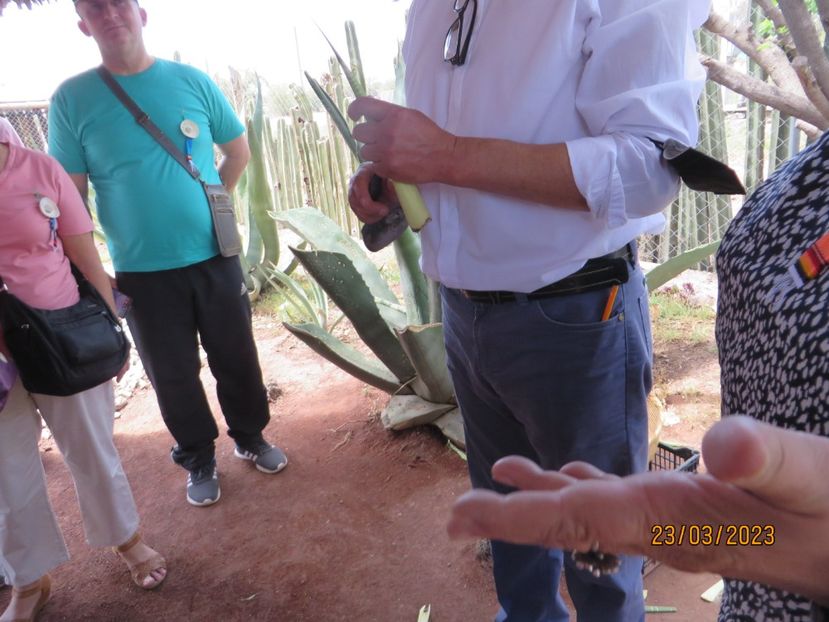  - 2 Teotihuacan- Bazilica Fecioarei Guadalupe