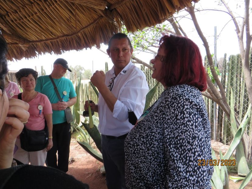  - 2 Teotihuacan- Bazilica Fecioarei Guadalupe