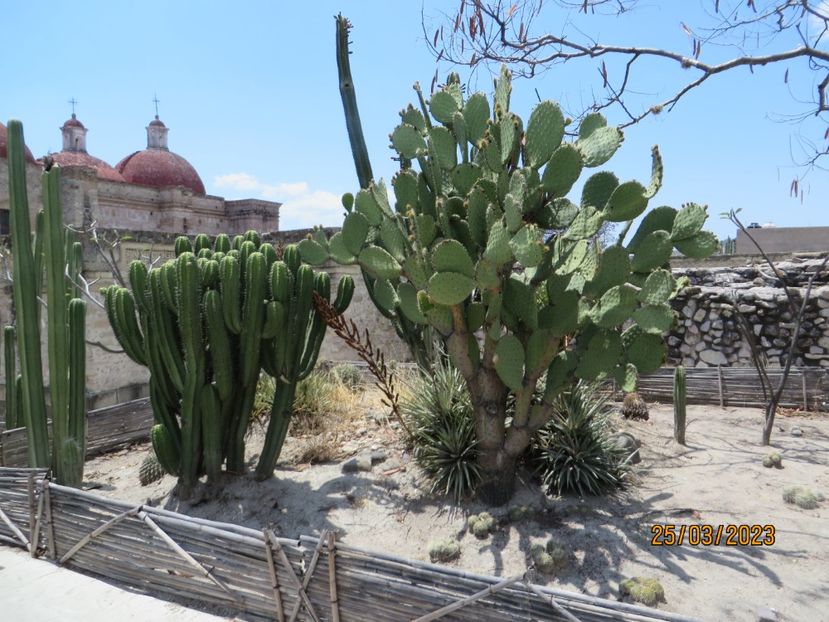  - 4 Monte Alban - Mitla