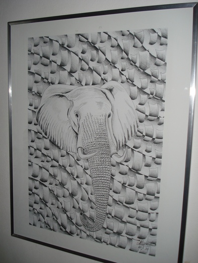 Africa Elefant - Grafica si pictura