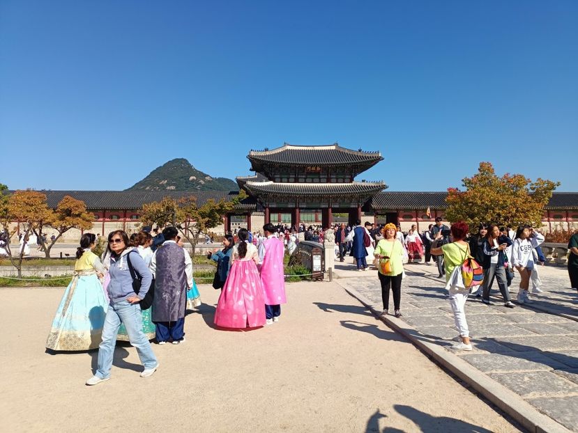 IMG20241025105049 - 3 Palatul Gyeongbokgung