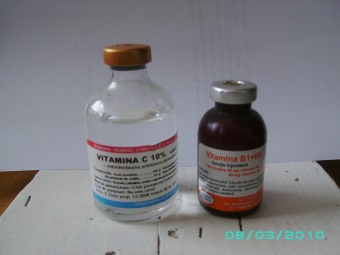 VITAMINELE C  SI B1-B6