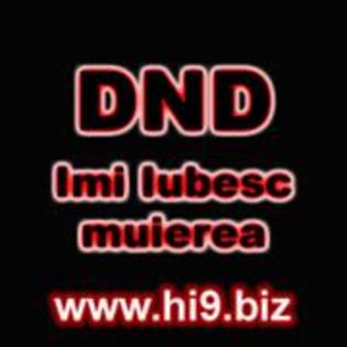 dnd%20imi%20iubesc%20muierea%20copy