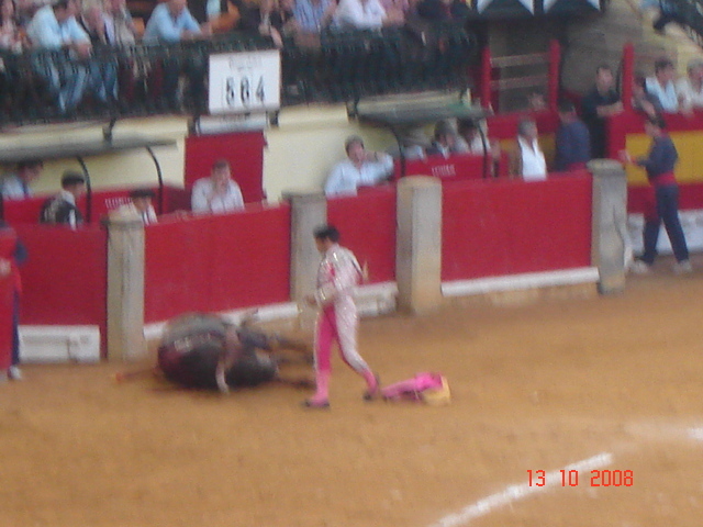 corrida de torros 13-10-2008 057 - Corrida de torros 2008