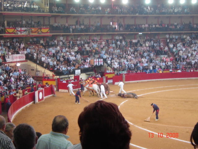 corrida de torros 13-10-2008 060 - Corrida de torros 2008