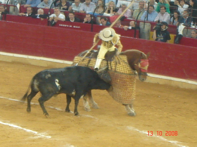 corrida de torros 13-10-2008 082 - Corrida de torros 2008