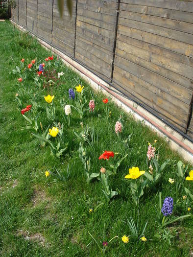 Spring colors (2009, April 10)