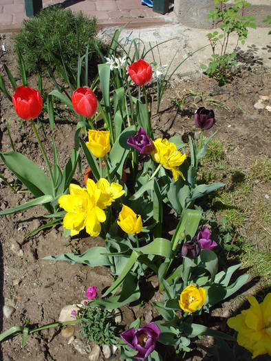 Spring colors (2009, April 23)