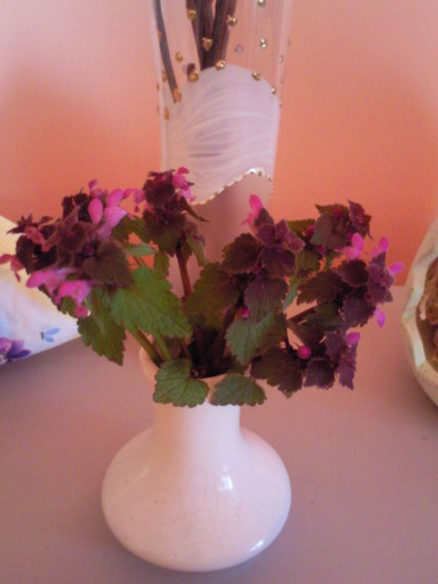 Buchetel de urzica moarta ( Lamium purpureum sau sugel ) - zSarbatoarea Pastelui 2010
