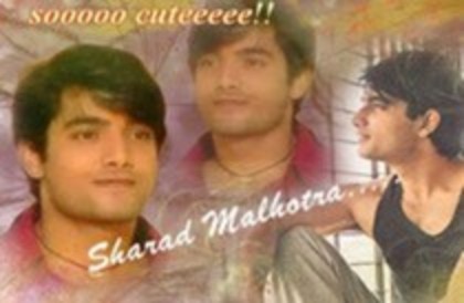 sharad malhotra - SHARAD MALHOTRA