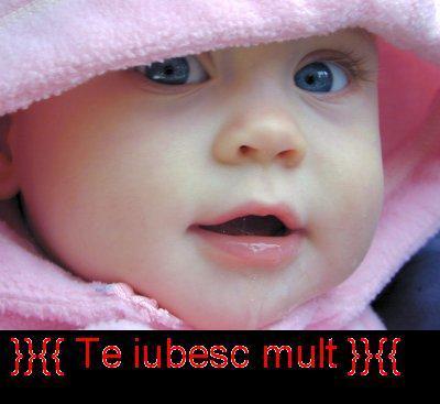 15063_Te_iubesc_mult