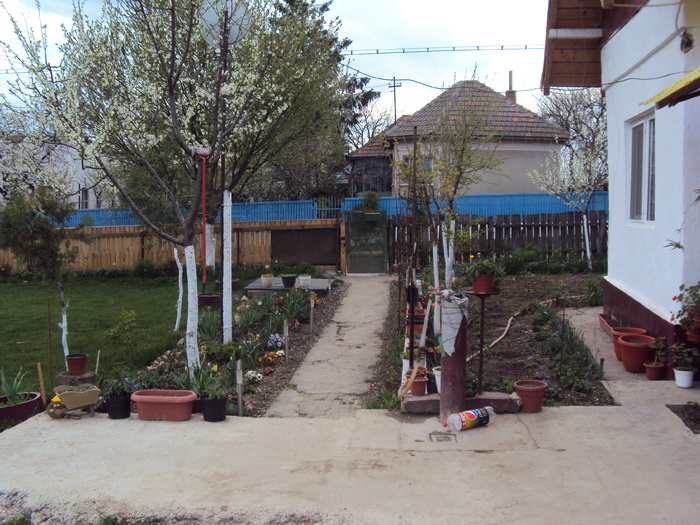 DSC00834 - gradina 2010