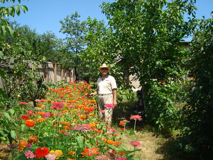 Cristi in gradina