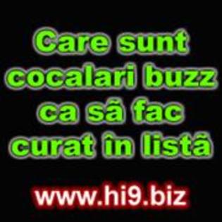 care%20sunt%20cocalari%20buzz%20ca%20sa%20fac%20curat%20in%20lista