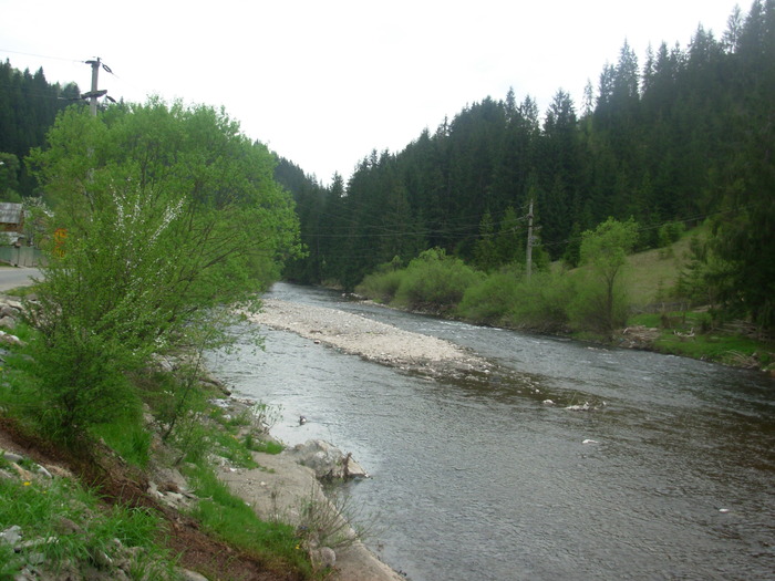 DSCN4208 - VALEA ARIESULUI