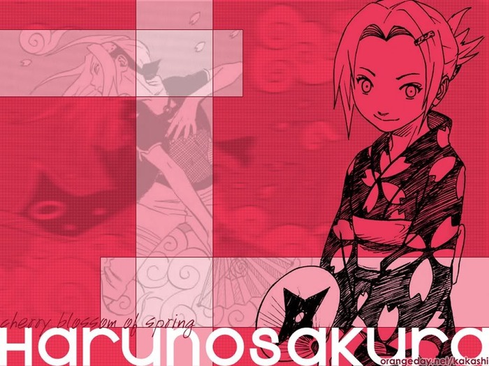 Wallpaper-Naruto05 - Sakura wallpaper