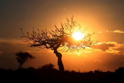 sunset-copac