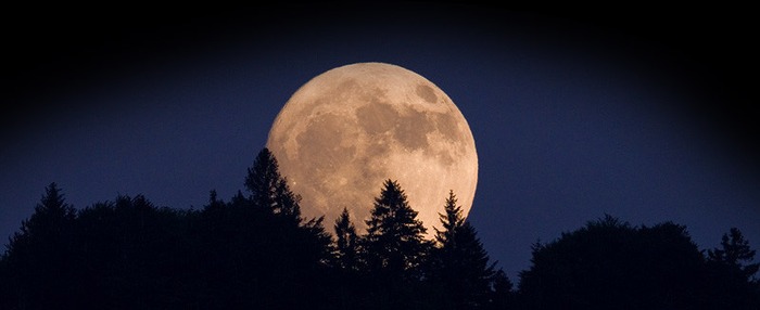 moon-over-trees