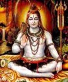 Zeul Shiva