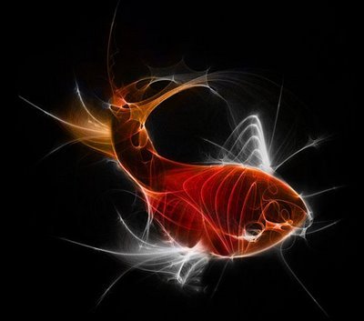 design,fish,glow,inspiration,light,art-d60646b33803ef4f0f3e446d18b26a52_h