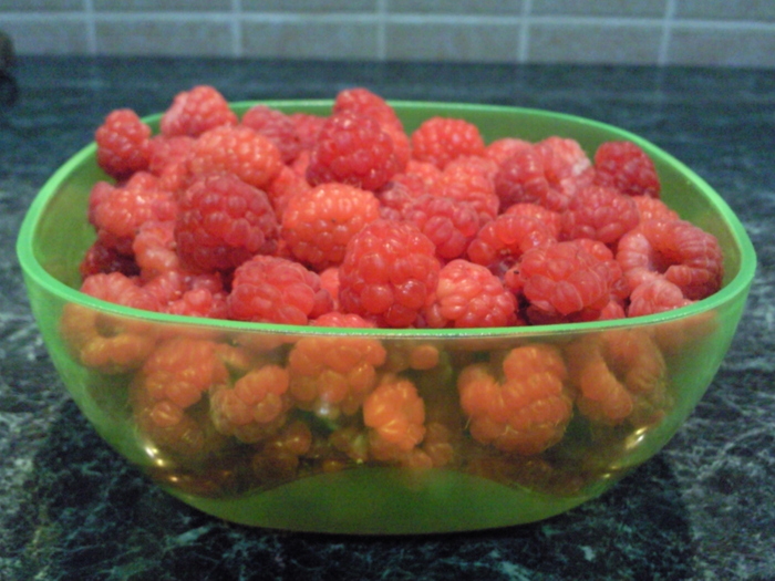 zmeura , prima recolta pe anul 2010 - Pomi fructiferi fructe si arbusti