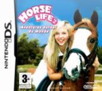 horse life