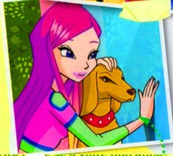 Roxy + Artu - Sezonul 6 din Winx