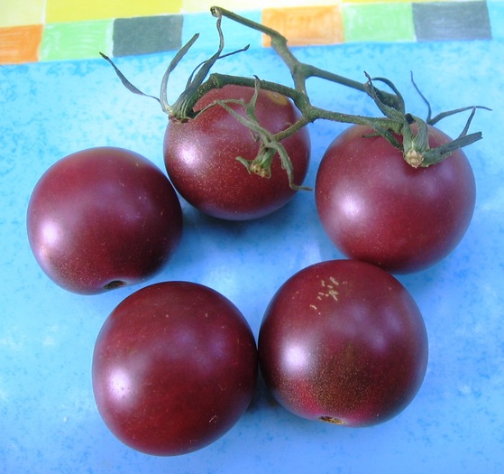 tomate cherry