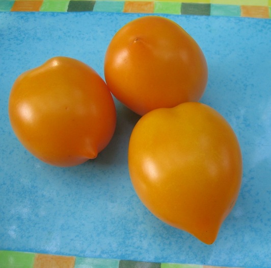 IMG_2038 - Tomate