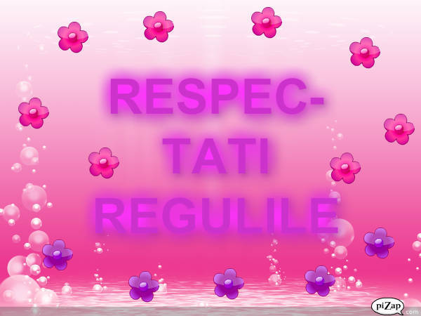 RESPECTA REGULILE