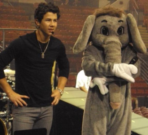 joe-jonas-elephant - Jonas Brothers