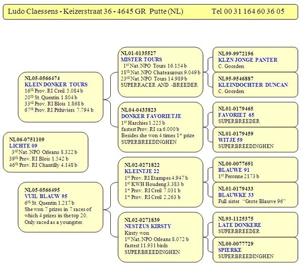 Pedigree ultima achizitie